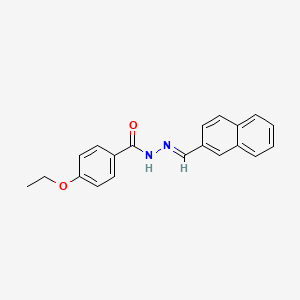 molecular formula C20H18N2O2 B5547419 4-ethoxy-N-[(E)-naphthalen-2-ylmethylideneamino]benzamide 