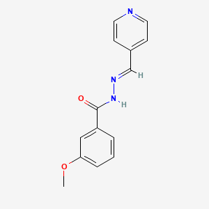 molecular formula C14H13N3O2 B5547646 3-methoxy-N-[(E)-pyridin-4-ylmethylideneamino]benzamide 