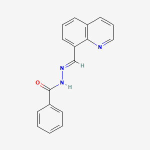 molecular formula C17H13N3O B5549201 N-[(E)-quinolin-8-ylmethylideneamino]benzamide 
