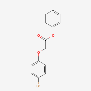 molecular formula C14H11BrO3 B5550396 phenyl (4-bromophenoxy)acetate 
