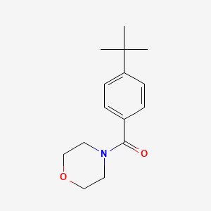 molecular formula C15H21NO2 B5551932 (4-Tert-butylphenyl)(morpholin-4-yl)methanone 