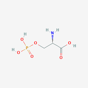 Phospho-L-serine