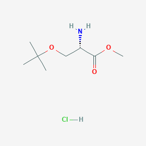 molecular formula C8H18ClNO3 B555316 H-Ser(tBu)-OMe.HCl CAS No. 17114-97-5