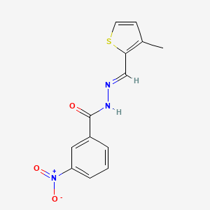 molecular formula C13H11N3O3S B5553881 N'-[(E)-(3-methylthiophen-2-yl)methylidene]-3-nitrobenzohydrazide 