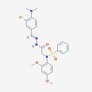 molecular formula C25H27BrN4O5S B5554337 2-[N-(benzenesulfonyl)-2,4-dimethoxyanilino]-N-[(E)-[3-bromo-4-(dimethylamino)phenyl]methylideneamino]acetamide 