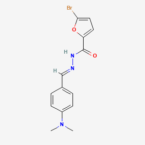 molecular formula C14H14BrN3O2 B5555068 5-bromo-N'-{(E)-[4-(dimethylamino)phenyl]methylidene}furan-2-carbohydrazide 