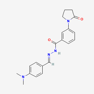 molecular formula C20H22N4O2 B5555097 N-[(E)-[4-(dimethylamino)phenyl]methylideneamino]-3-(2-oxopyrrolidin-1-yl)benzamide 
