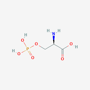 molecular formula C3H8NO6P B555519 O-磷酸-D-丝氨酸 CAS No. 73913-63-0