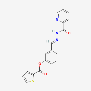 molecular formula C18H13N3O3S B5559101 [3-[(E)-(pyridine-2-carbonylhydrazinylidene)methyl]phenyl] thiophene-2-carboxylate 