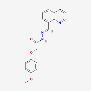 molecular formula C19H17N3O3 B5559550 2-(4-methoxyphenoxy)-N-[(E)-quinolin-8-ylmethylideneamino]acetamide 