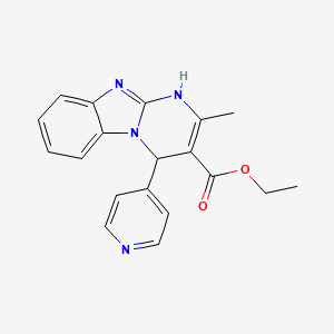molecular formula C19H18N4O2 B5559910 Ethyl 2-methyl-4-pyridin-4-yl-1,4-dihydropyrimido[1,2-a]benzimidazole-3-carboxylate 