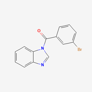 molecular formula C14H9BrN2O B5563260 benzimidazol-1-yl-(3-bromophenyl)methanone 