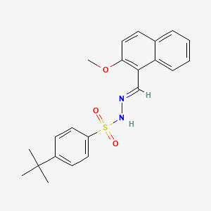molecular formula C22H24N2O3S B5565527 4-tert-butyl-N-[(E)-(2-methoxynaphthalen-1-yl)methylideneamino]benzenesulfonamide 