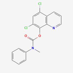 molecular formula C17H12Cl2N2O2 B5566821 5,7-Dichloroquinolin-8-yl methyl(phenyl)carbamate 