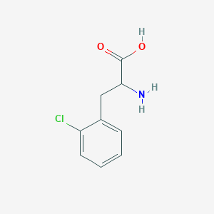 molecular formula C9H10ClNO2 B556781 2-Amino-3-(2-chlorophenyl)propanoic acid CAS No. 14091-11-3