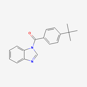 molecular formula C18H18N2O B5569046 1H-benzimidazol-1-yl(4-tert-butylphenyl)methanone 
