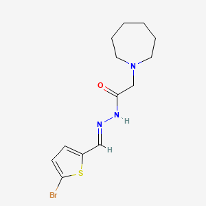 molecular formula C13H18BrN3OS B5570199 2-(azepan-1-yl)-N-[(E)-(5-bromothiophen-2-yl)methylideneamino]acetamide 