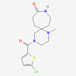 molecular formula C15H20ClN3O2S B5576305 4-[(5-chloro-2-thienyl)carbonyl]-1-methyl-1,4,9-triazaspiro[5.6]dodecan-10-one 