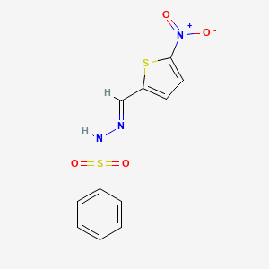 molecular formula C11H9N3O4S2 B5578974 N-[(E)-(5-nitrothiophen-2-yl)methylideneamino]benzenesulfonamide 