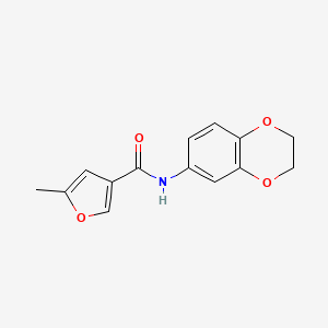 molecular formula C14H13NO4 B5579200 N-(2,3-dihydro-1,4-benzodioxin-6-yl)-5-methylfuran-3-carboxamide 