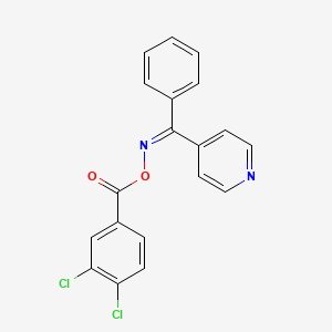 molecular formula C19H12Cl2N2O2 B5583189 [(Z)-[phenyl(pyridin-4-yl)methylidene]amino] 3,4-dichlorobenzoate 