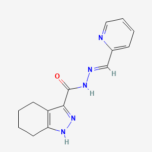 molecular formula C14H15N5O B5586286 N'-[(E)-(PYRIDIN-2-YL)METHYLIDENE]-4,5,6,7-TETRAHYDRO-1H-INDAZOLE-3-CARBOHYDRAZIDE 