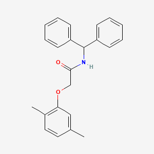 molecular formula C23H23NO2 B5587576 N-benzhydryl-2-(2,5-dimethylphenoxy)acetamide 