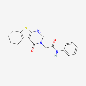 molecular formula C18H17N3O2S B5588158 2-(4-oxo-5,6,7,8-tetrahydro-[1]benzothiolo[2,3-d]pyrimidin-3-yl)-N-phenylacetamide 