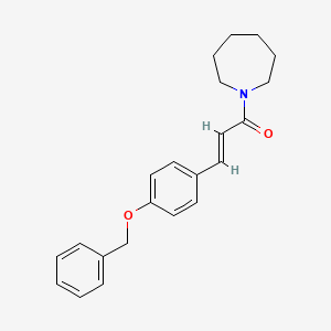 molecular formula C22H25NO2 B5590094 1-{3-[4-(benzyloxy)phenyl]acryloyl}azepane 