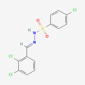 molecular formula C13H9Cl3N2O2S B5590275 4-chloro-N'-(2,3-dichlorobenzylidene)benzenesulfonohydrazide 