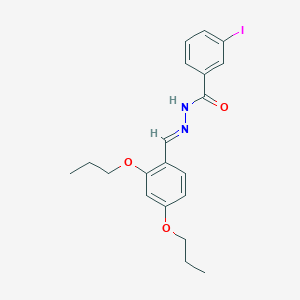 molecular formula C20H23IN2O3 B5590688 N'-[(E)-(2,4-Dipropoxyphenyl)methylidene]-3-iodobenzohydrazide 