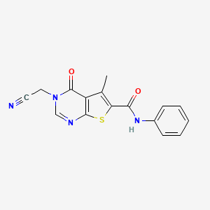 molecular formula C16H12N4O2S B5592195 3-(cyanomethyl)-5-methyl-4-oxo-N-phenylthieno[2,3-d]pyrimidine-6-carboxamide 