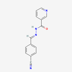 molecular formula C14H10N4O B5597149 N'-[(E)-(4-cyanophenyl)methylidene]pyridine-3-carbohydrazide 