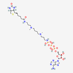 molecular formula C₃₂H₅₈N₁₁O₁₄P₃S B560652 N-[3-[4-[3-[5-[(3aS,4S,6aR)-2-oxo-1,3,3a,4,6,6a-hexahydrothieno[3,4-d]imidazol-4-yl]pentanoylamino]propyl-methylamino]butyl-methylamino]propyl]-[[[(2R,3S,4R,5R)-5-(6-aminopurin-9-yl)-3,4-dihydroxyoxolan-2-yl]methoxy-hydroxyphosphoryl]oxy-hydroxyphosphoryl]oxyphosphonamidic acid CAS No. 1800401-93-7