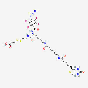 molecular formula C34H47F4N9O7S3 B561716 3-[2-[[(2S)-6-[6-[5-[(3aS,4S,6aR)-2-oxo-1,3,3a,4,6,6a-hexahydrothieno[3,4-d]imidazol-4-yl]pentanoylamino]hexanoylamino]-2-[(4-azido-2,3,5,6-tetrafluorobenzoyl)amino]hexanoyl]amino]ethyldisulfanyl]propanoic acid CAS No. 1356841-73-0