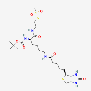 molecular formula C24H43N5O7S3 B561776 N-t-Boc-biocytinamidoethyl Methanethiosulfonate CAS No. 1322623-64-2