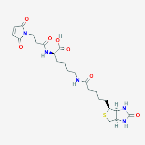 molecular formula C23H33N5O7S B561809 (2S)-6-[5-[(3aS,4S,6aR)-2-oxo-1,3,3a,4,6,6a-hexahydrothieno[3,4-d]imidazol-4-yl]pentanoylamino]-2-[3-(2,5-dioxopyrrol-1-yl)propanoylamino]hexanoic acid CAS No. 102849-12-7