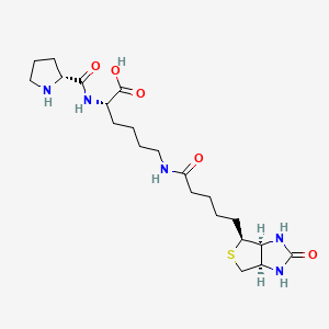 Biocytin-L-proline