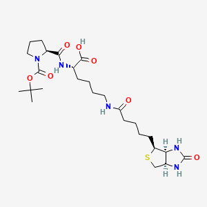 molecular formula C26H43N5O7S B561830 Biocytin-N-(t-boc)-L-proline CAS No. 1356383-21-5