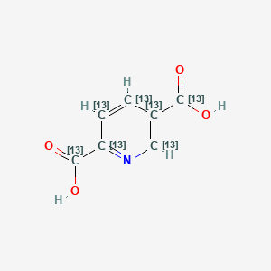 molecular formula C7H5NO4 B561857 (2,3,4,5,6-13C5)pyridine-2,5-dicarboxylic acid CAS No. 1189695-39-3