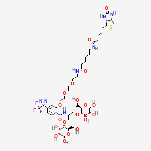molecular formula C46H70F3N7O19S B561926 N-[2-[2-[2-[(N-Biotinyl-caproylamino)-ethoxy)ethoxyl]-4-[2-(trifluoromethyl)-3H-diazirin-3-yl]benzoyl]-1,3-bis(mannopyranosyl-4-yloxy)-2-propylamine CAS No. 207971-25-3