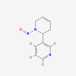 molecular formula C10H11N3O B562027 N-Nitrosoanatabine-d4 CAS No. 1020719-69-0