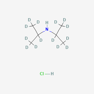 molecular formula C6H16ClN B562219 N,N-Diisopropylamine-d14 Hydrochloride CAS No. 1219803-88-9