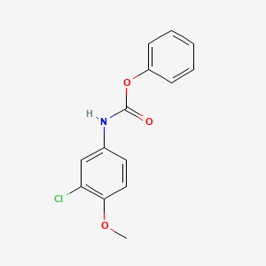 phenyl (3-chloro-4-methoxyphenyl)carbamate