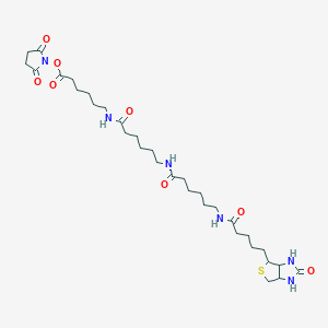 N-Biotinylcaproylaminocaproylaminocaproyl N-Hydroxysuccinimide