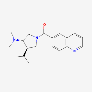 molecular formula C19H25N3O B5624064 (3S*,4R*)-4-isopropyl-N,N-dimethyl-1-(6-quinolinylcarbonyl)-3-pyrrolidinamine 