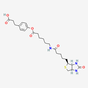 molecular formula C25H35N3O6S B562412 3-(4-(N-Biotinoyl-6-aminocaproyloxy)phenyl)propionic Acid CAS No. 83592-10-3