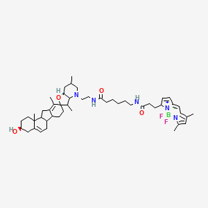 molecular formula C49H70BF2N5O4 B562486 Bodipy Cyclopamine CAS No. 334658-24-1