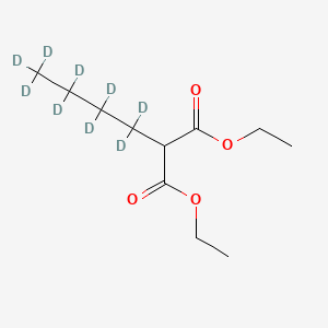molecular formula C11H20O4 B562581 Diethyl 2-(n-Butyl-d9)malonate CAS No. 1189865-34-6