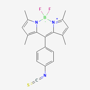 molecular formula C20H18BF2N3S B562593 Bodipy Isothiocyanate CAS No. 1349031-04-4